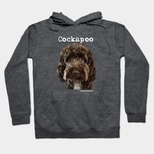 Chocolate Brown  Cockapoo / Spoodle and Doodle Dog Hoodie